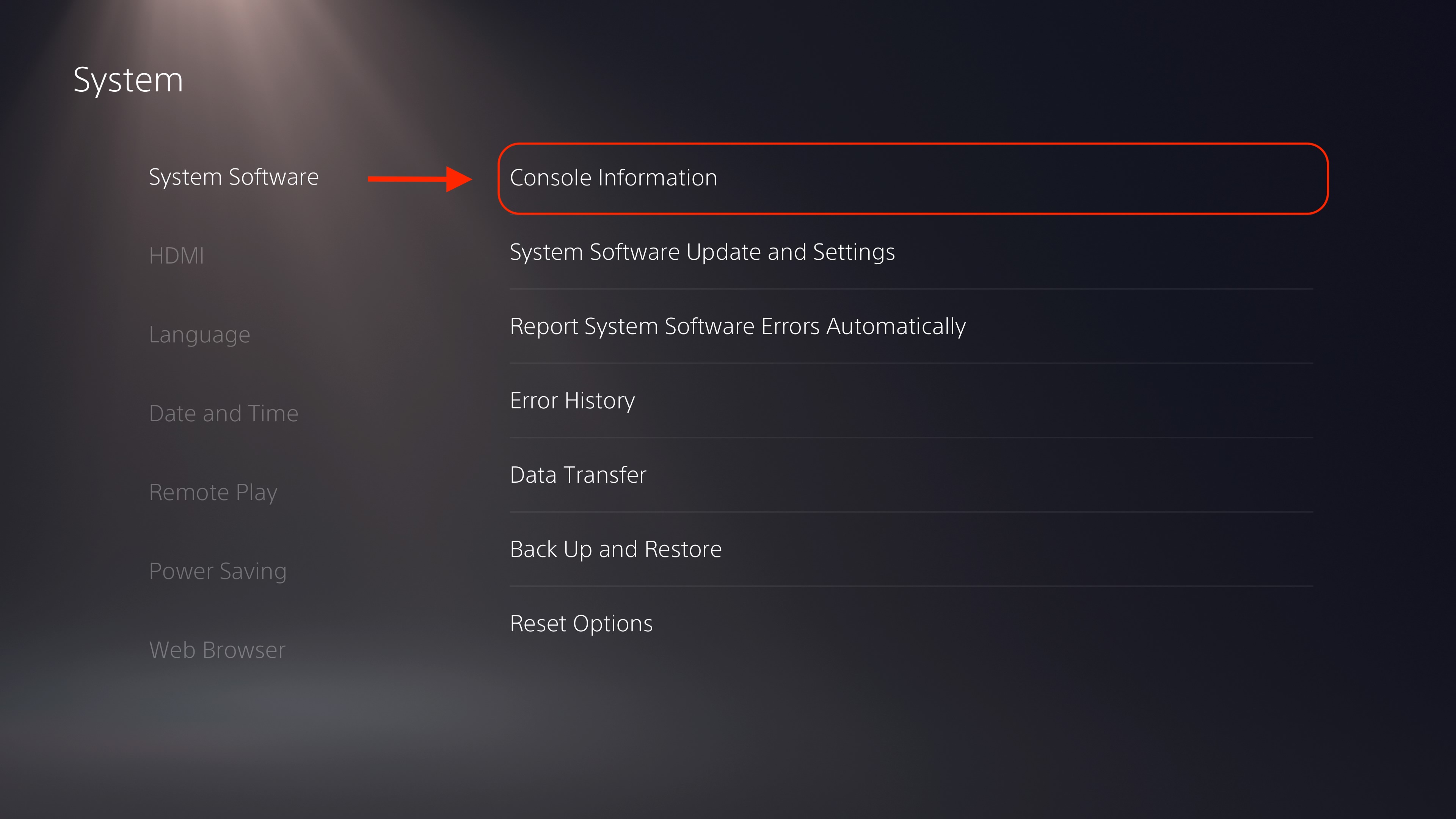 System settings menu with Console Information Highlighted