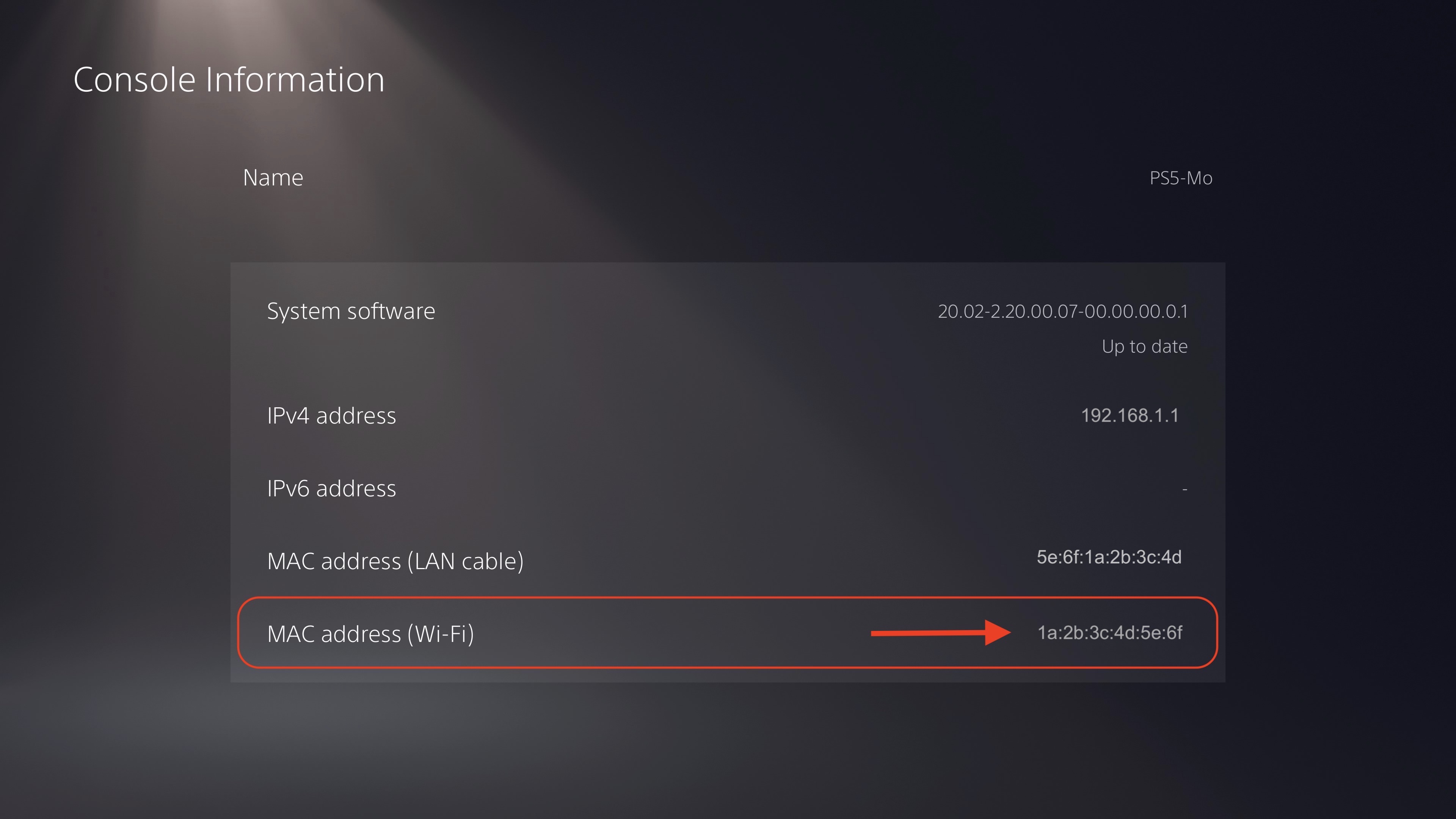 Console Information Screen